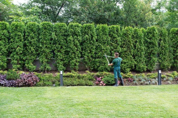 Best Soil Testing and Treatment  in Chesterton, IN